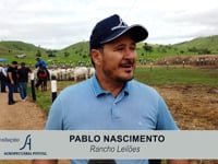 PABLO NASCIMENTO (Rancho Leilões)