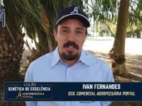 IVAN FERNANDES (gerente comercial Agropecuária Pontal)