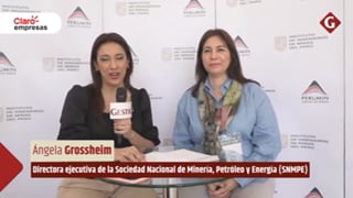 Entrevista a Ángela Grossheim en Diario Gestión TV