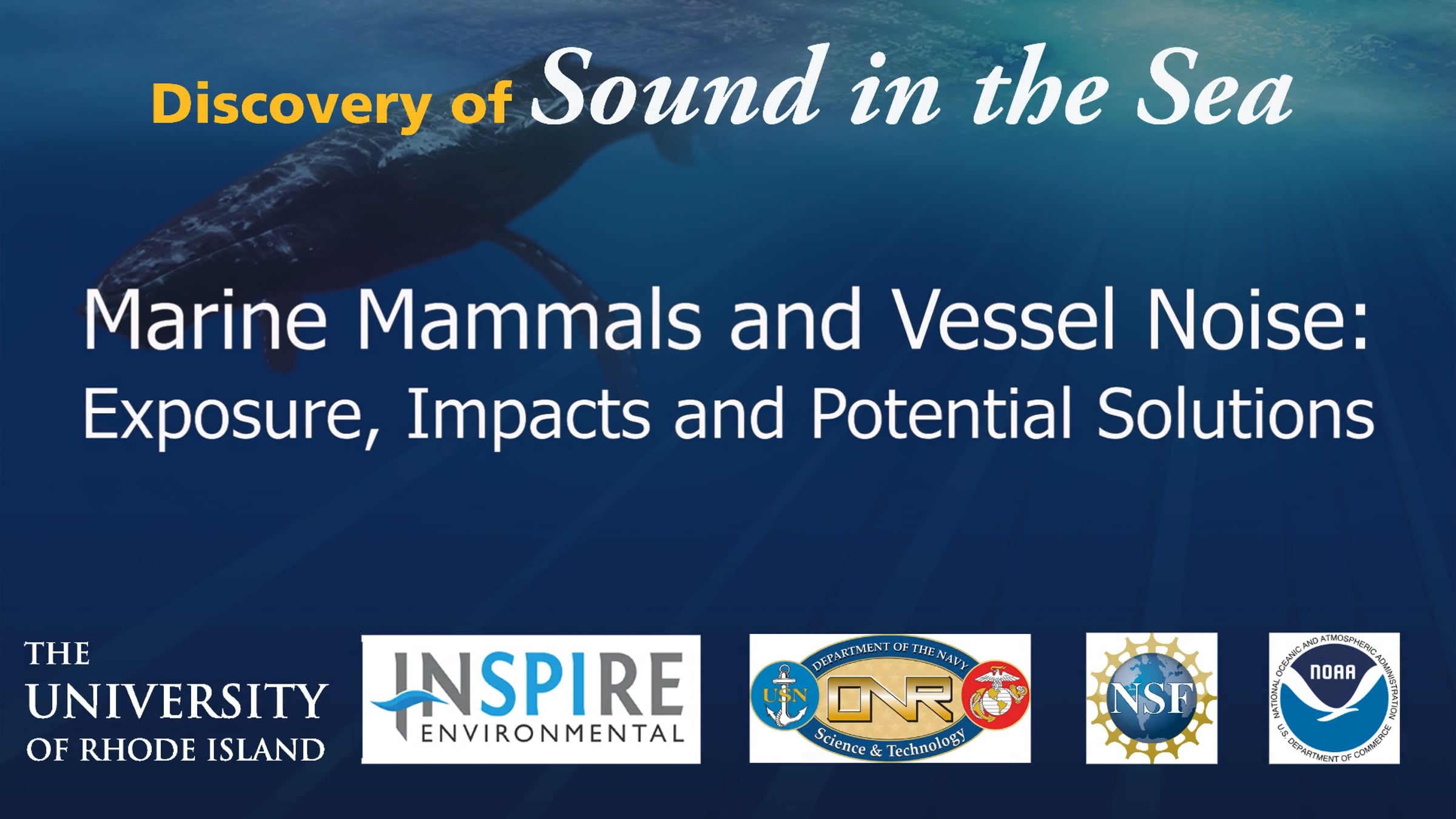 DOSITS Webinar Marine Mammals and Vessel Noise | Videos & Movies on Vimeo