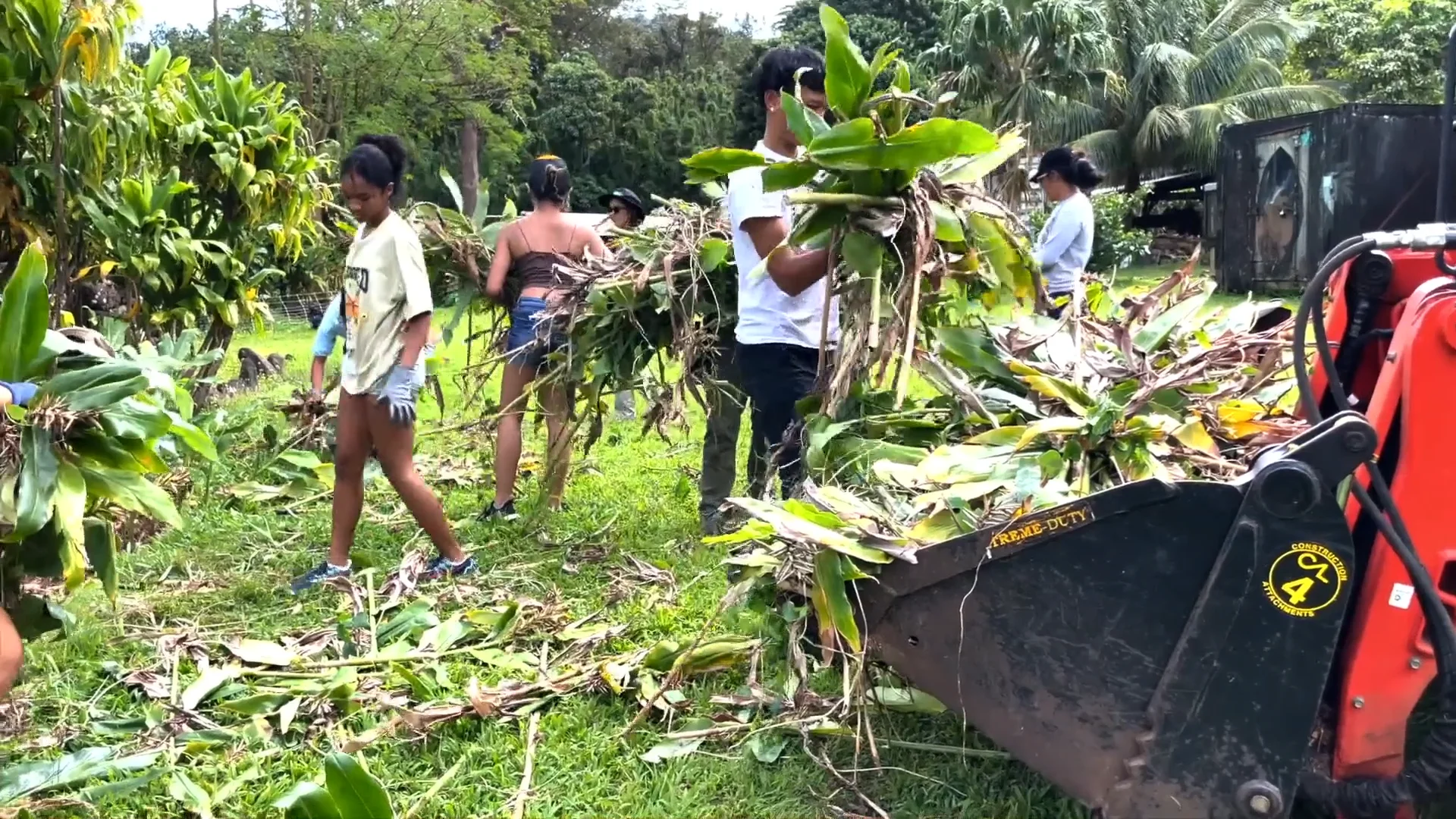 Keiki o ka Aina on Vimeo