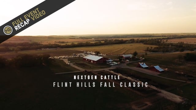 NextGen Cattle Event Recap Video