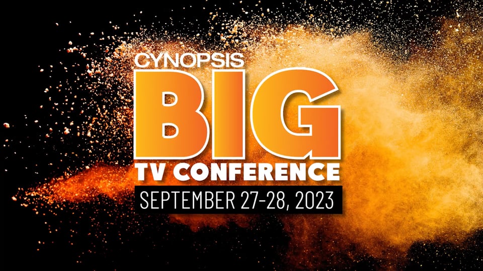 CTV’s Resilience: Reflecting on 2023, Charting 2024’s Path for Advertisers