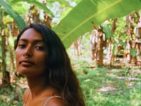 Video Image