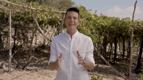 Cafe Theology | Season 5 | Episode 11 | Where the Fruit is Grown: The Fruit of the Spirit
