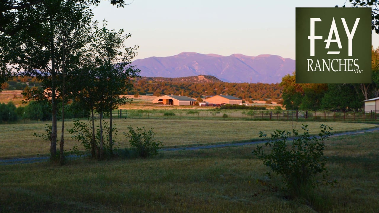 Zoe’s Ranch