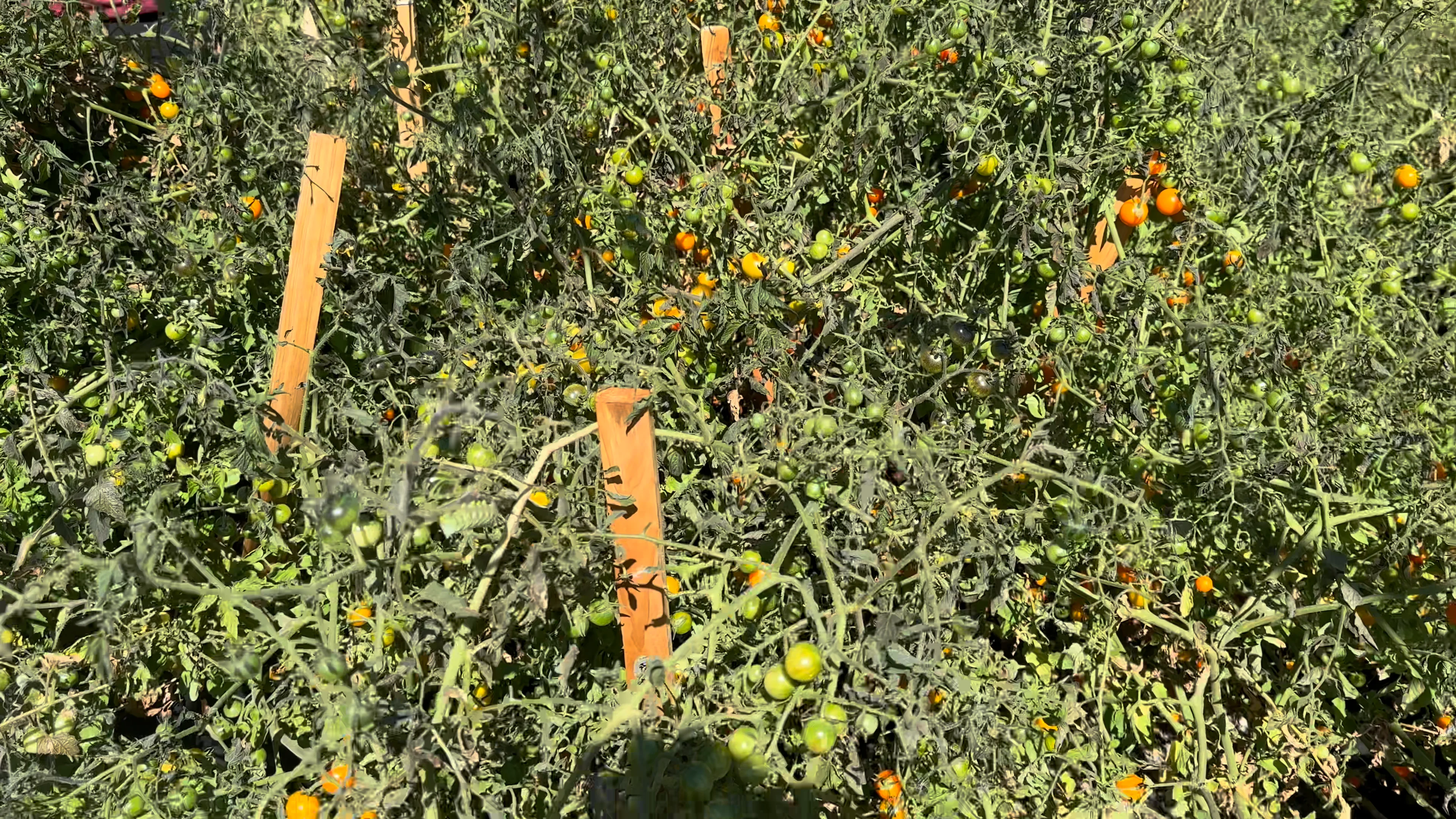 Sterling Farms Farm Tour 2023 on Vimeo