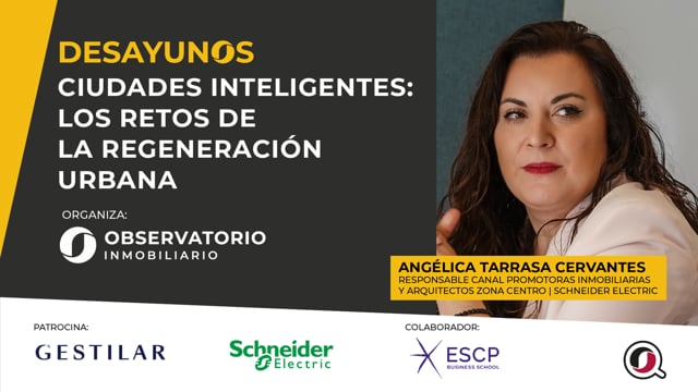 Angélica Tarrasa - Schneider Electric