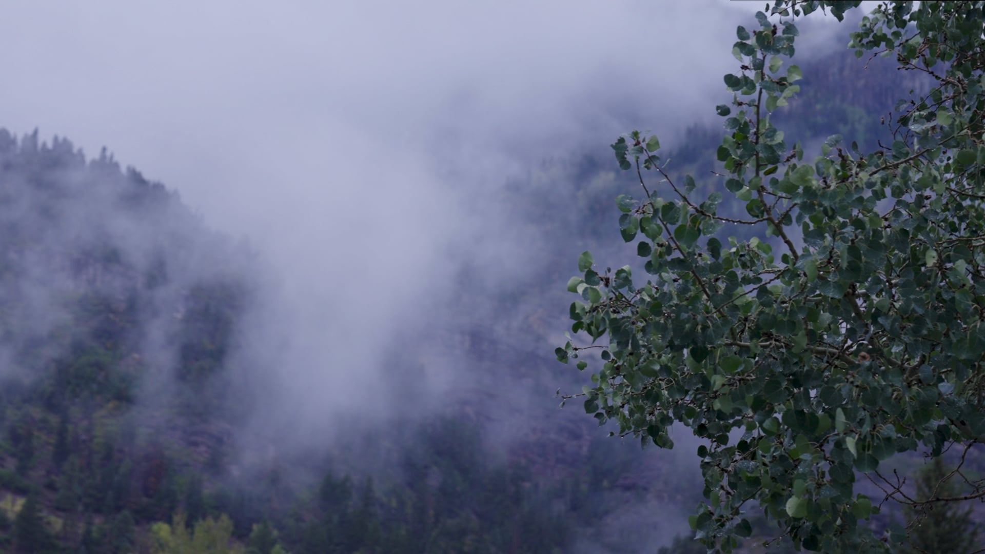 Cinematographer - Colorado Rockies