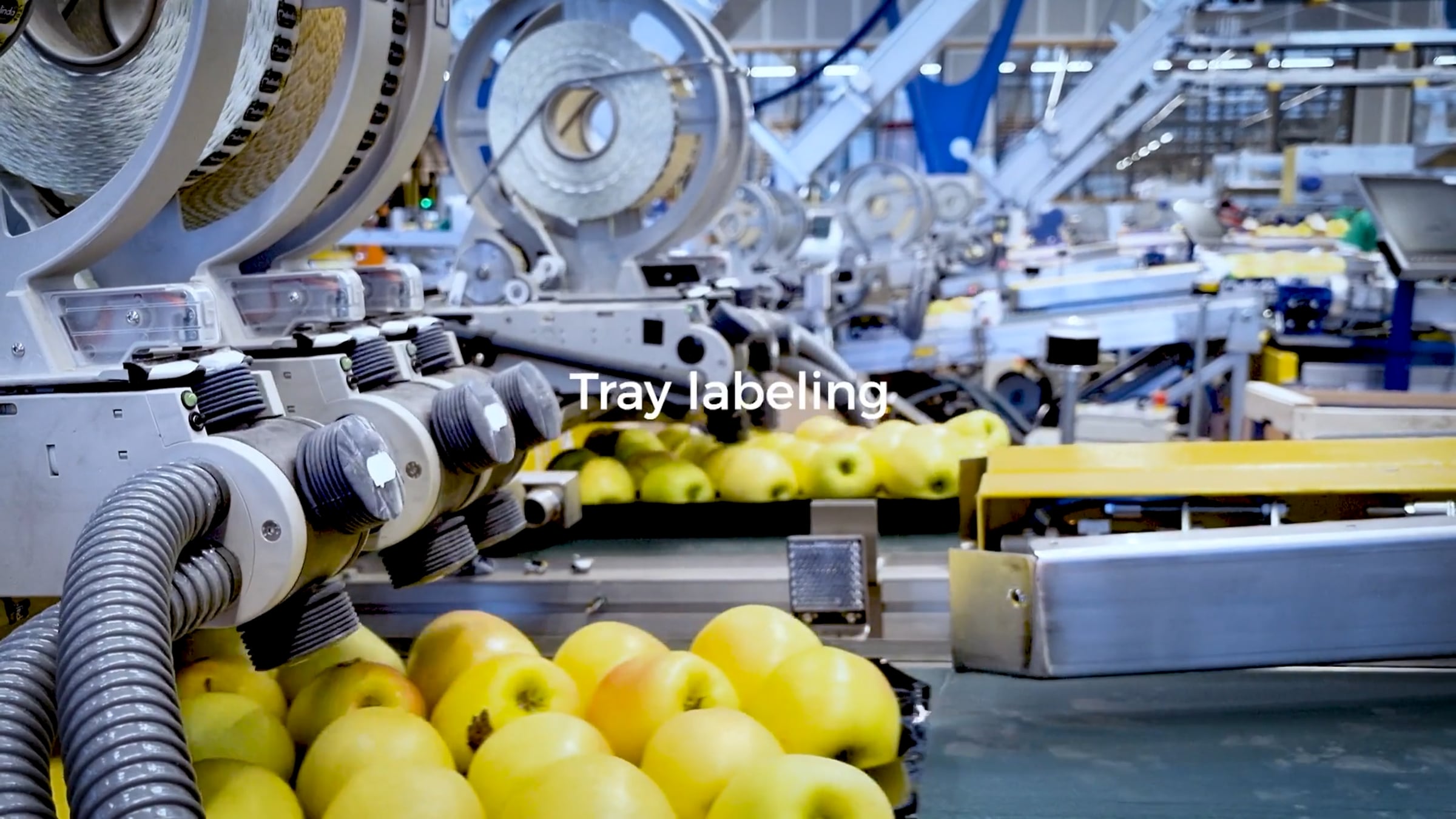 #sinclair_technology: Sinclair Automated, High-speed Labeling ...