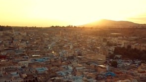 Heartbeats of Fez