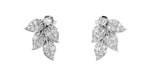 1.00 ct. t.w. Diamond Leaf Earrings in 14kt White Gold