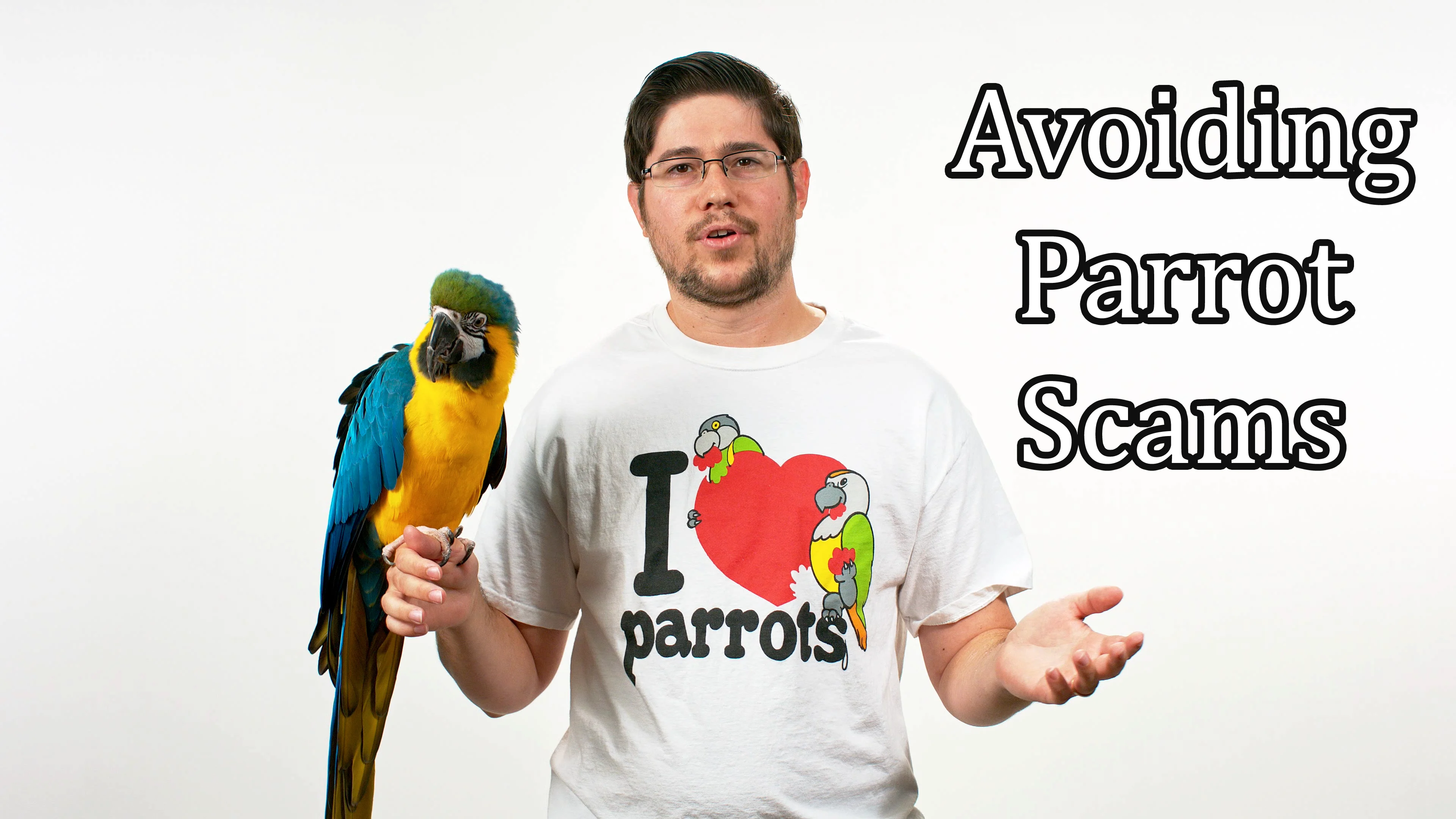 How to Avoid Parrot Scams on the Internet
