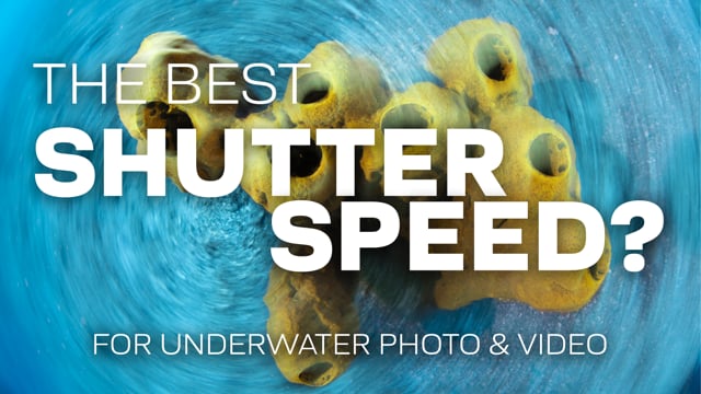 The Best Shutter Speed For Underwater Photography & Videography