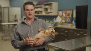 Hear from Our Clients