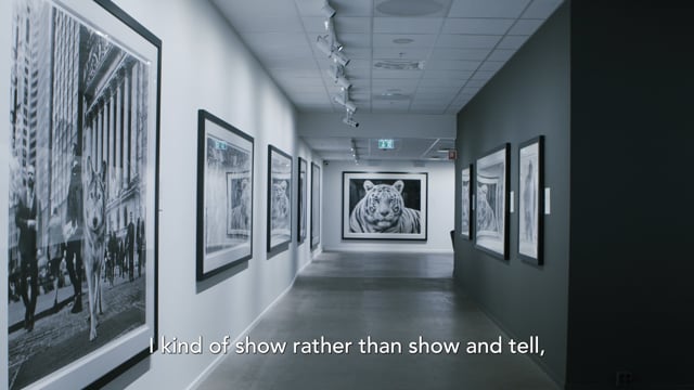 David Yarrow - Storytelling | Promo 2 (Show and tell)