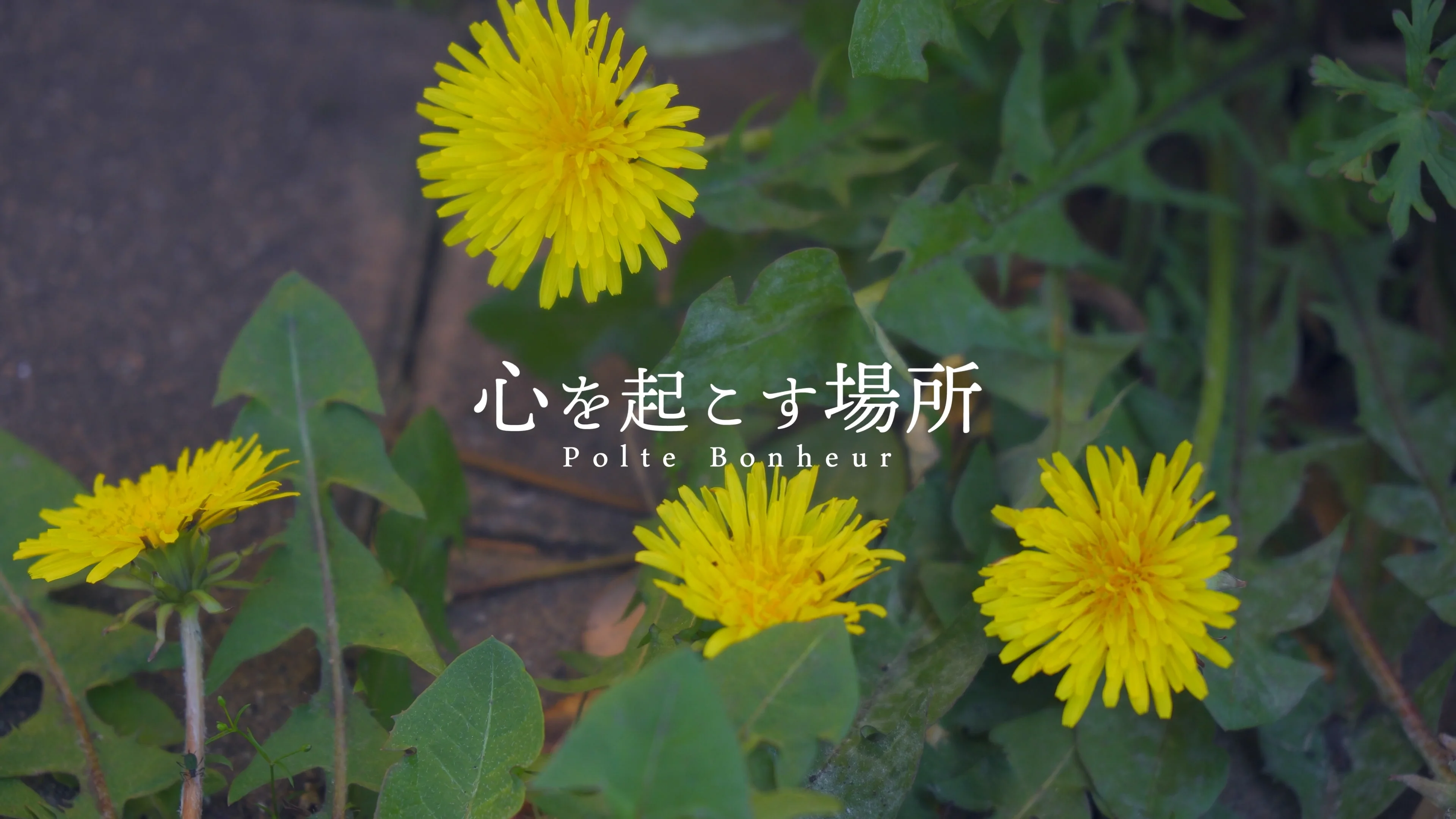 私たちとは | 株式会社POLTE BONHEUR ポルトボヌール