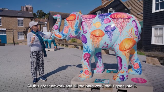video thumbnail for Havens Hospices: Herd In the City Wrap Up Video on vimeo