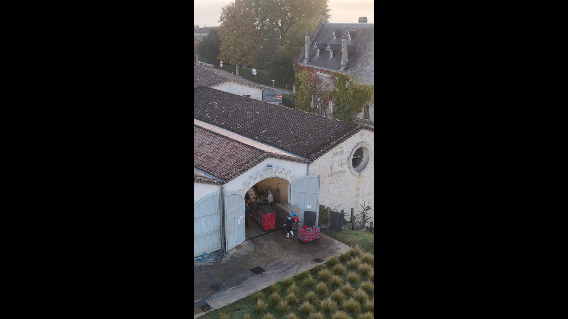 La Gaffelière - L'arrivée des raisins