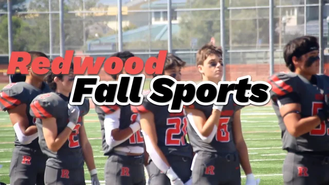 2021-22 NFL season recap – Redwood Bark