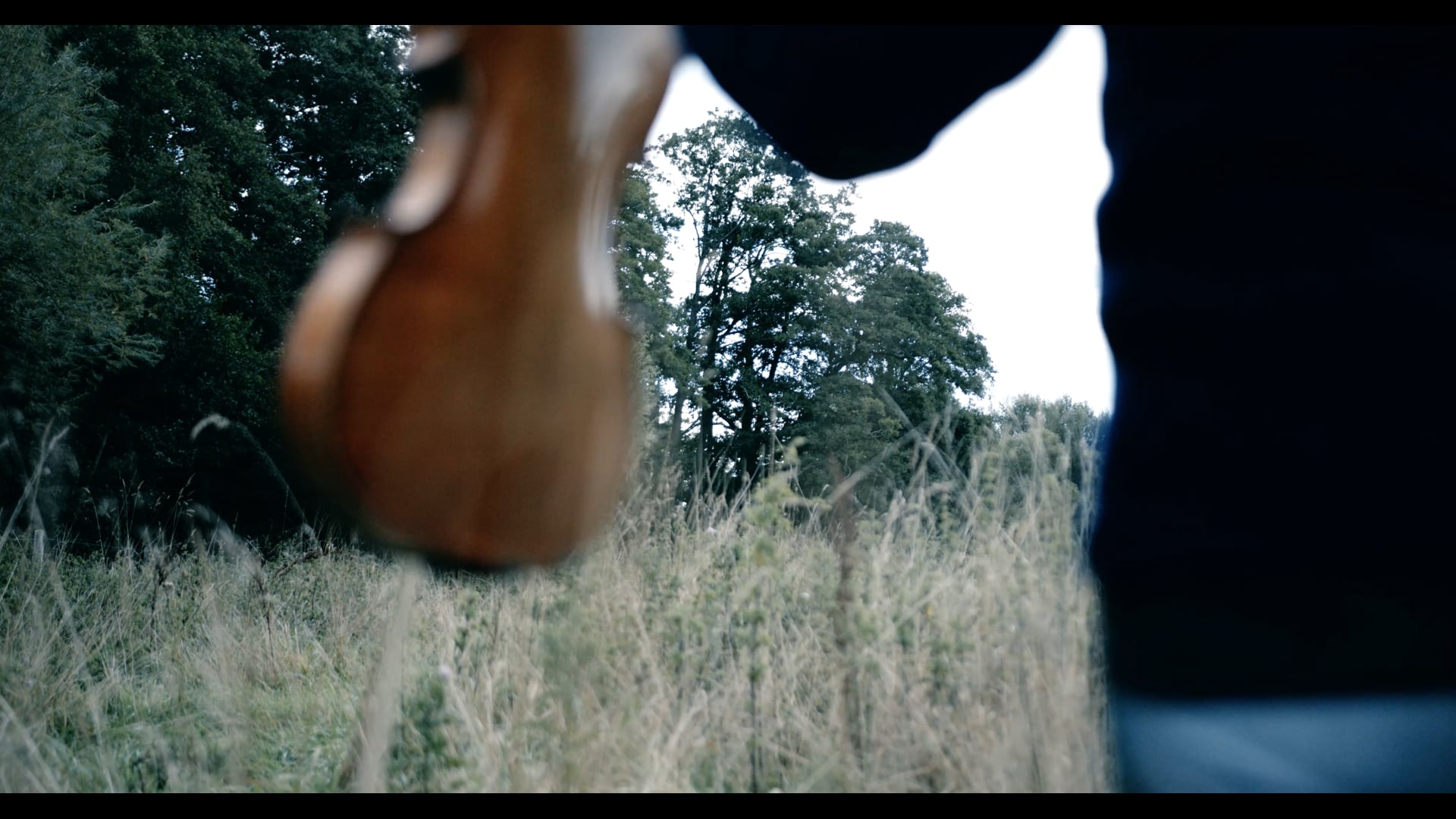 Kulturregion Fyn - Creature without nature