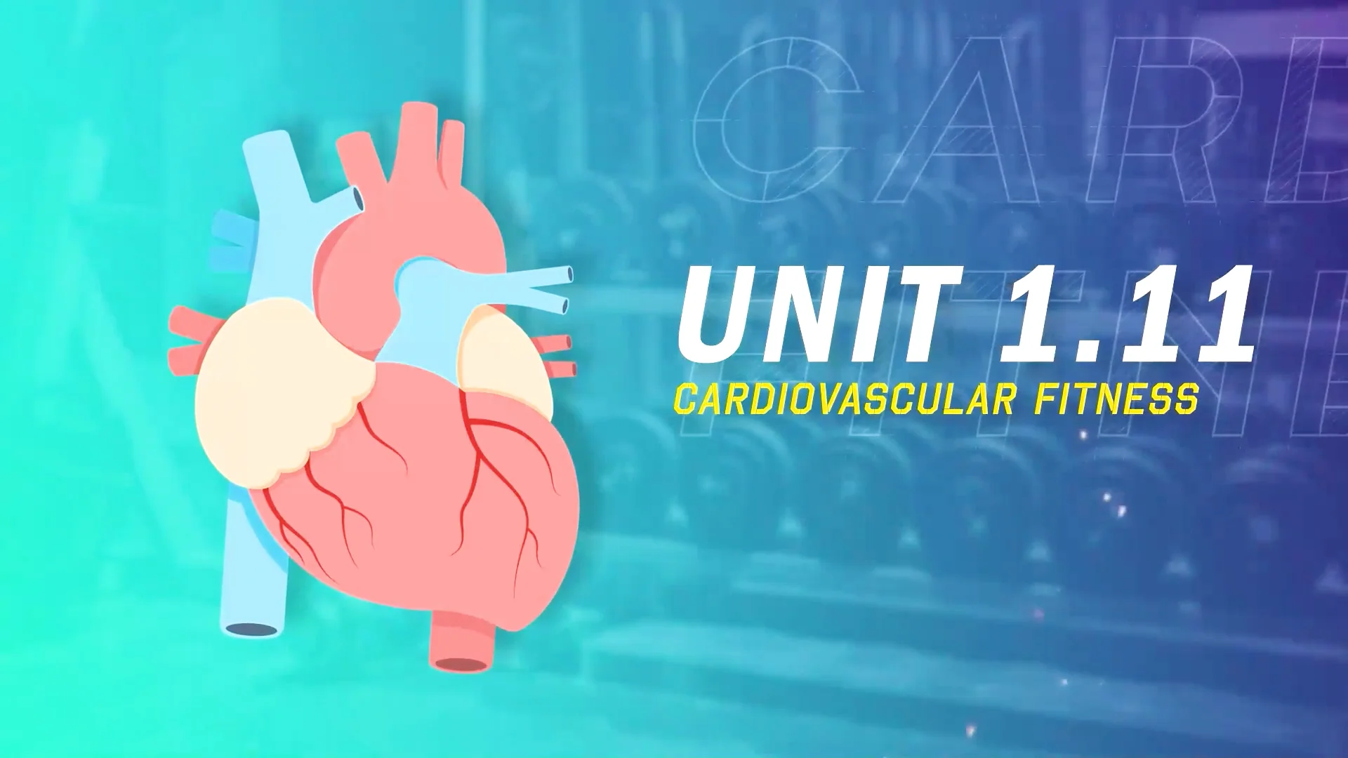 Unit 1.11 – Cardiovascular Fitness on Vimeo