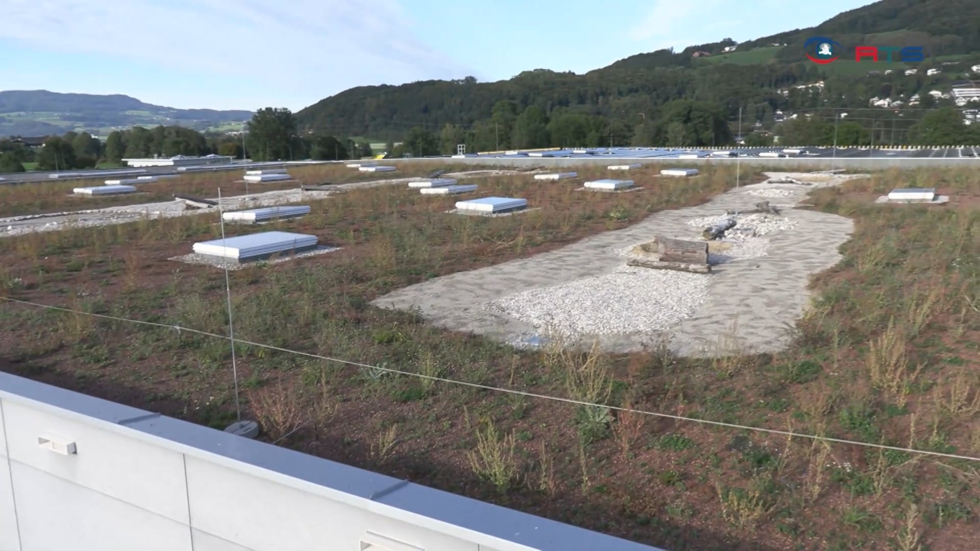 das-neue-lagerhaus-zentrallager-hat-das-groesste-biodiversitaetsdach-in-salzburg