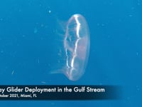 Newswise:Video Embedded new-study-finds-that-the-gulf-stream-is-warming-and-shifting-closer-to-shore