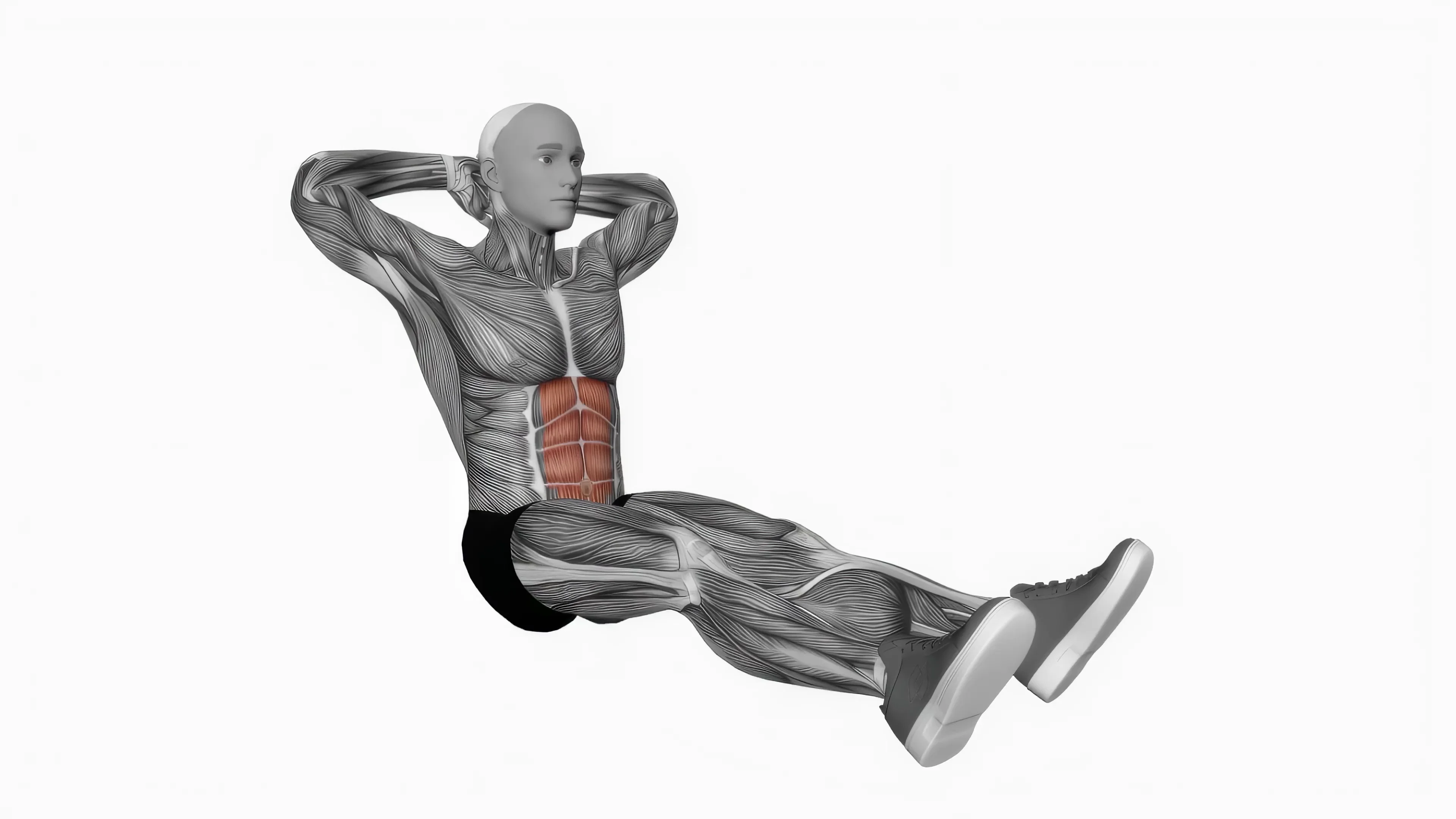 seated-floor-crunches-fitness-exercise-workout-ani-2023-02-27-09-17-02 ...