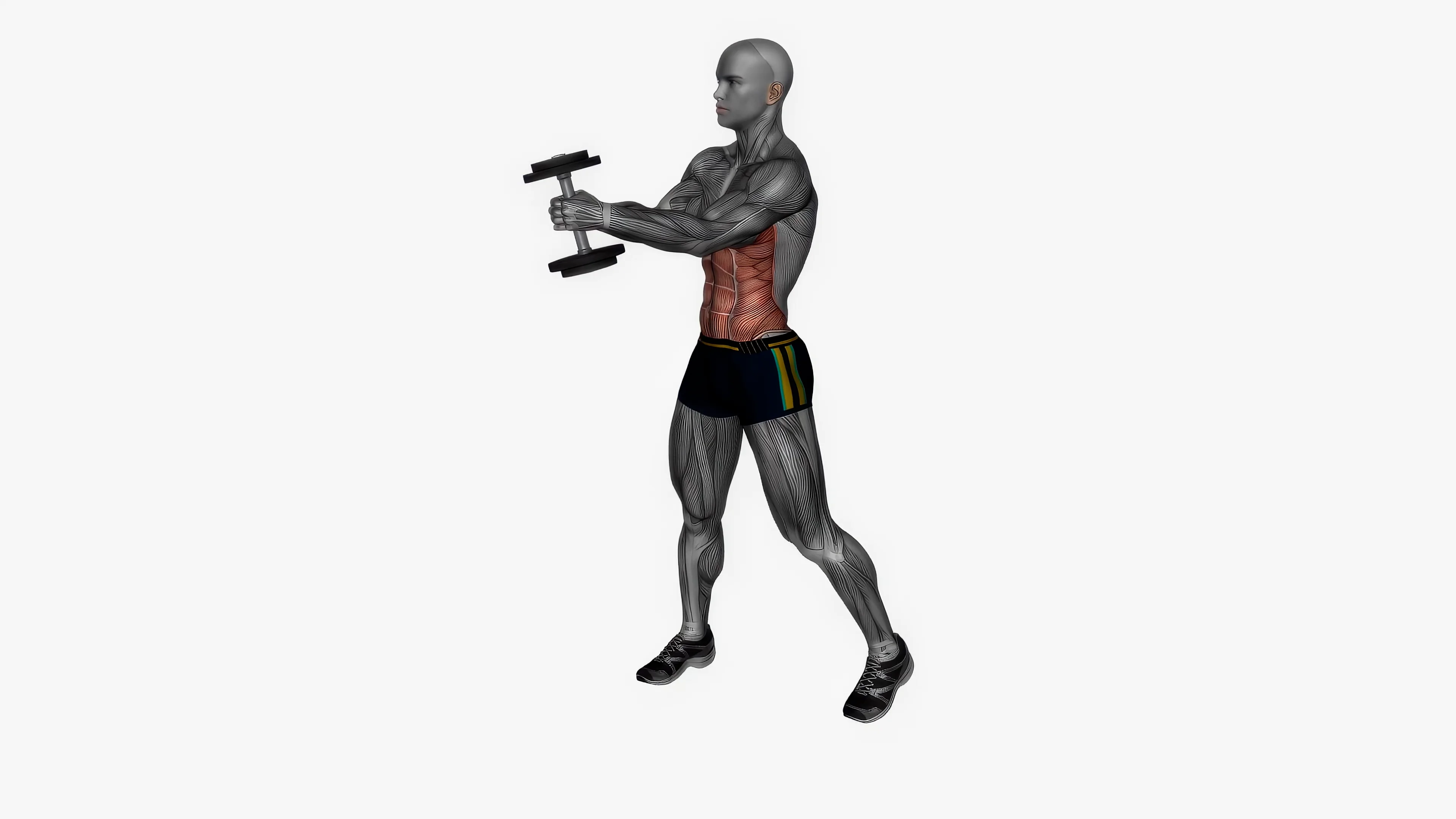 dumbbell-diagonal-chop-fitness-exercise-workout-an-2023-02-27-08-53-50 ...
