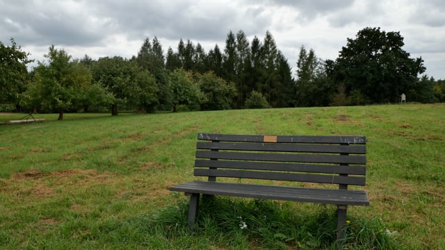 Bench, Bank, Trees. Free Stock Video - Pixabay