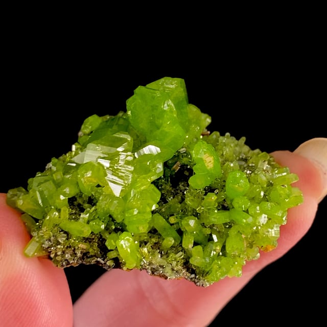 Pyromorphite (fine quality)