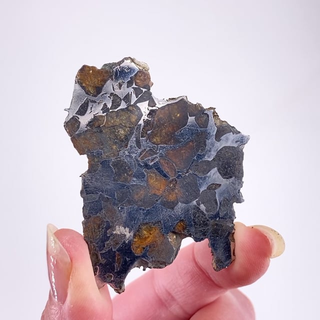 Meteorite (Forsterite in Iron var: Kamacite)