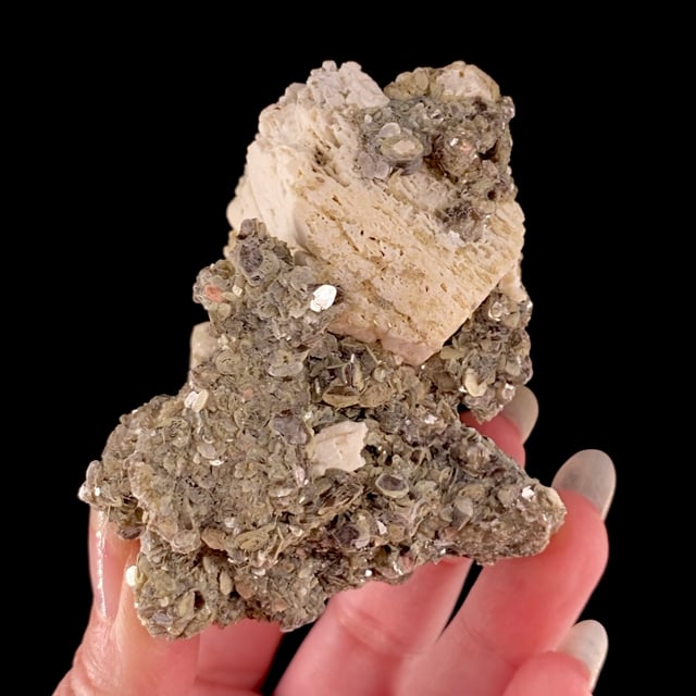 Microcline on Muscovite ''cast''