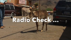 A Bit of Tongue and Cheek Nonsense