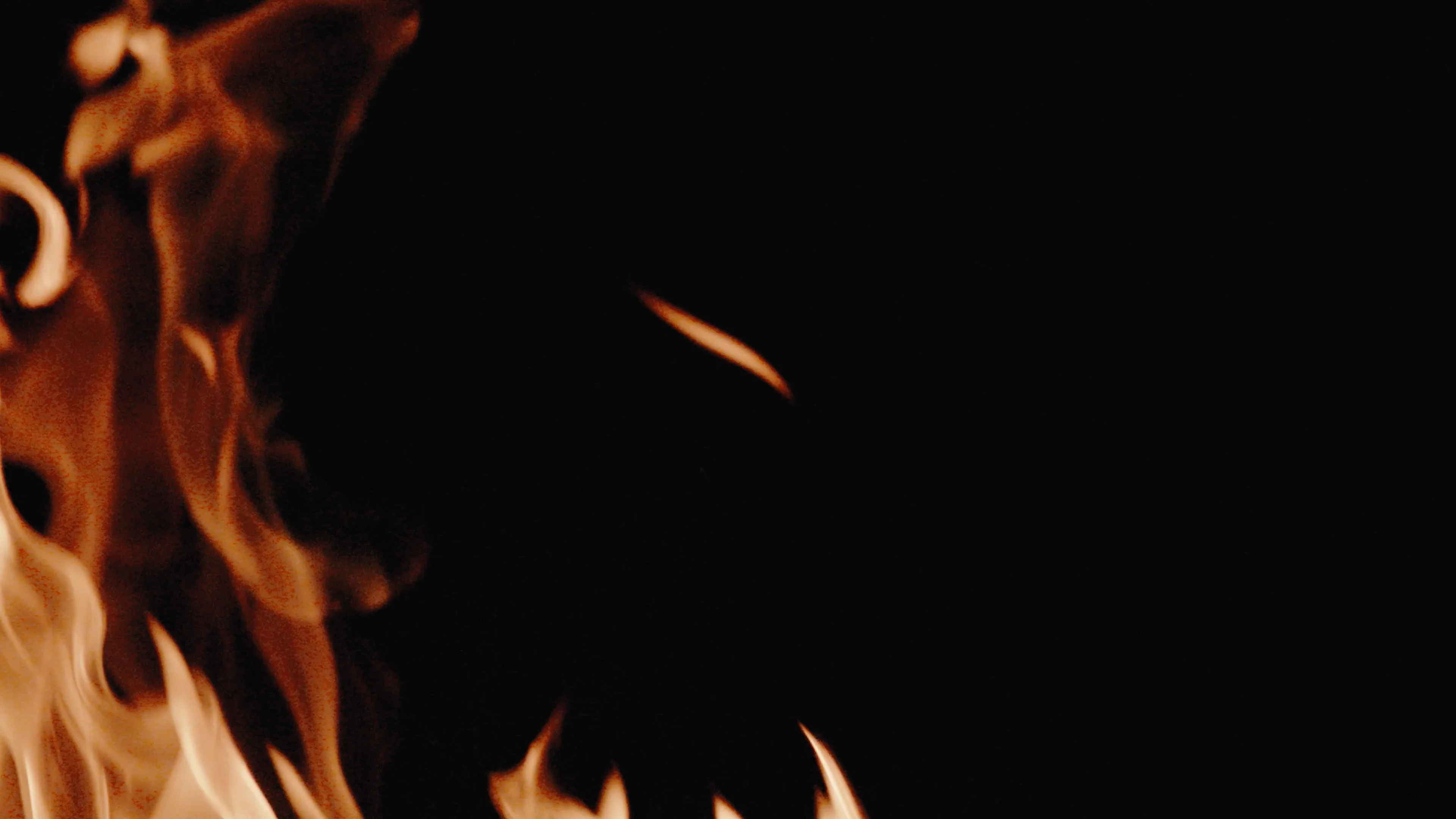 Fire video on Vimeo