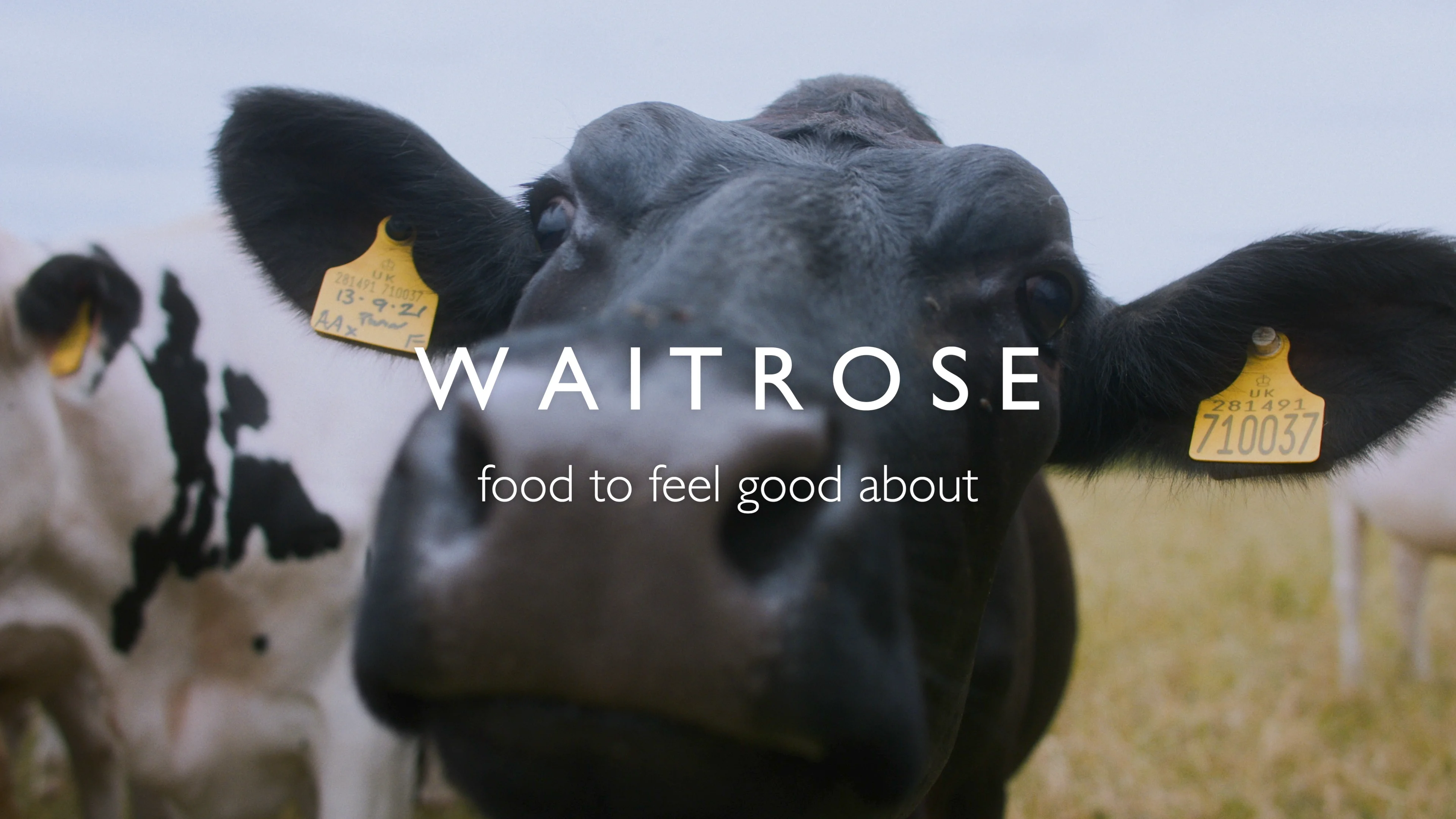 WAITROSE // Leckford Farm on Vimeo