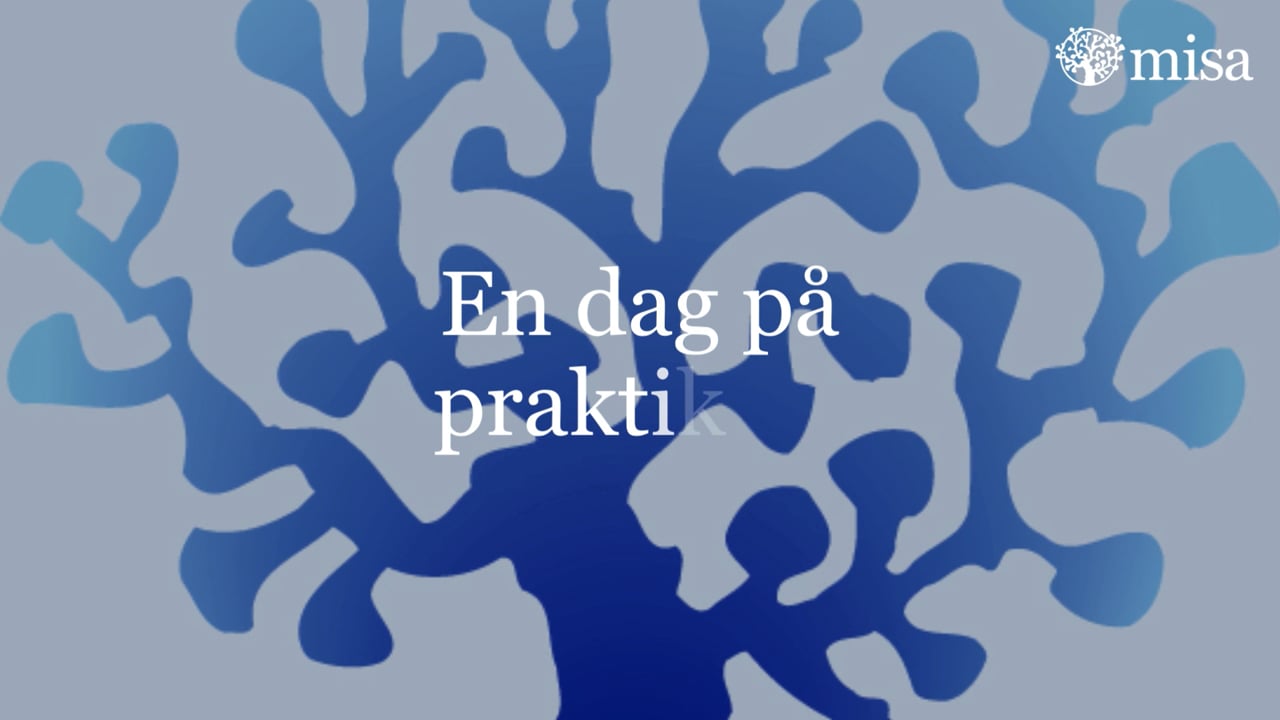 Videobakgrund