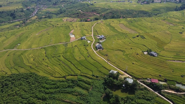 Field, Paddy, Terraces. Free Stock Video - Pixabay