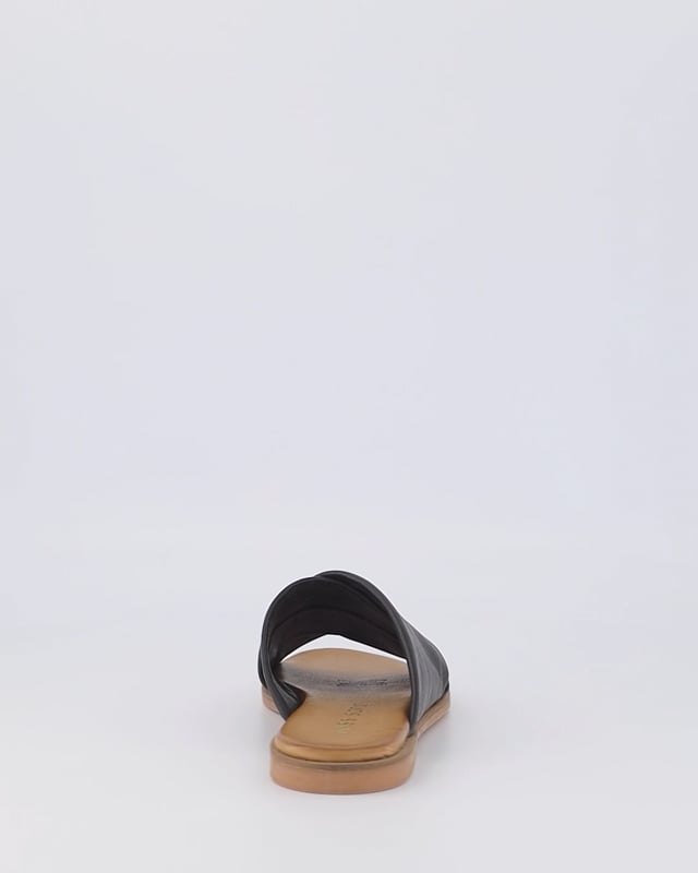 PALLAS / Black