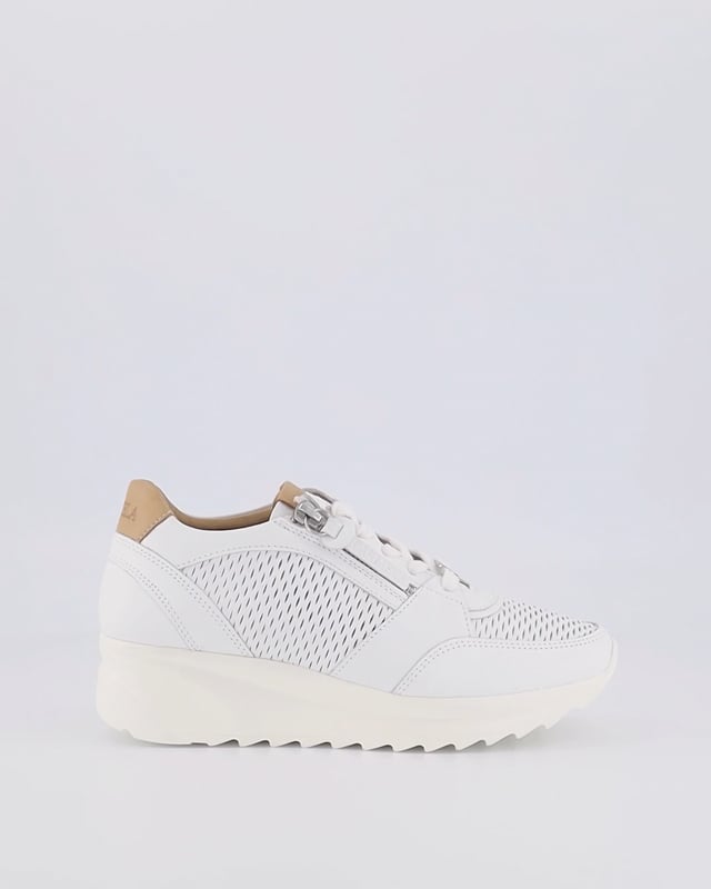 DAISY / White