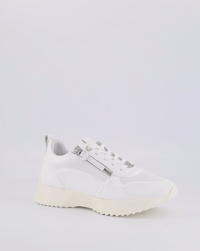 DAWN / White