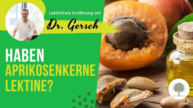 Enthalten Aprikosenkerne Lektine?