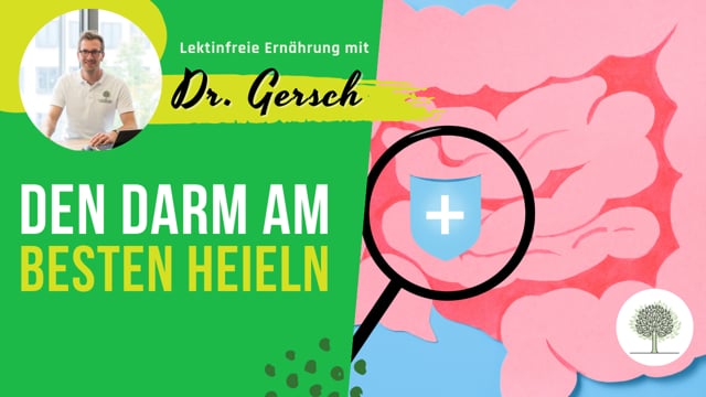 Wie kann man seinen Darm am besten heilen und wie evtl. noch mit Medikamenten oder Darmaufbau helfen schneller intakt zu sein?