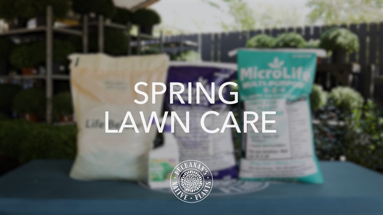 Buchanan's Spring Lawn Care