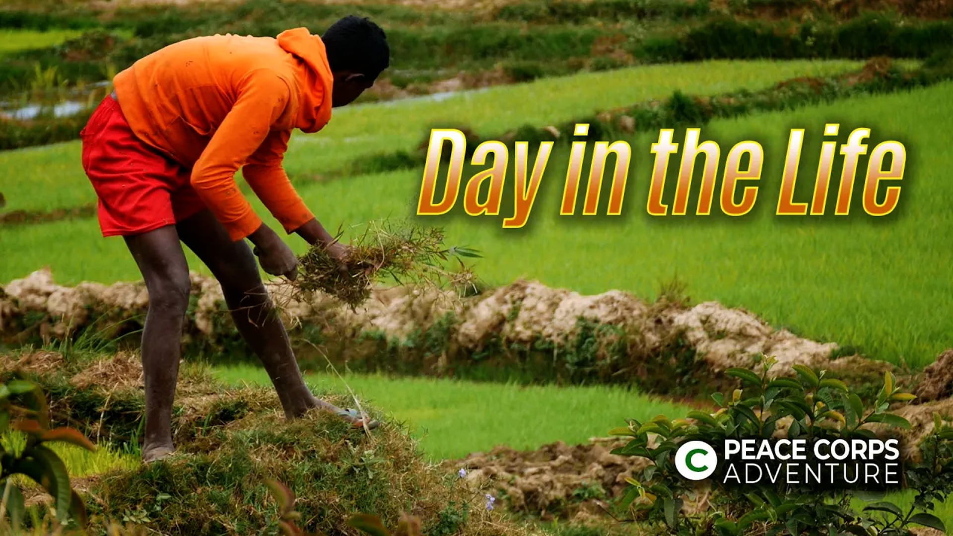 July 2023 - Day in the Life