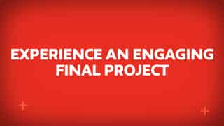 Video preview for Sustainability | Final Project Video
