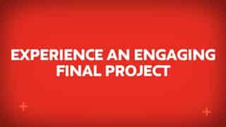 Video preview for Sustainability | Final Project Video