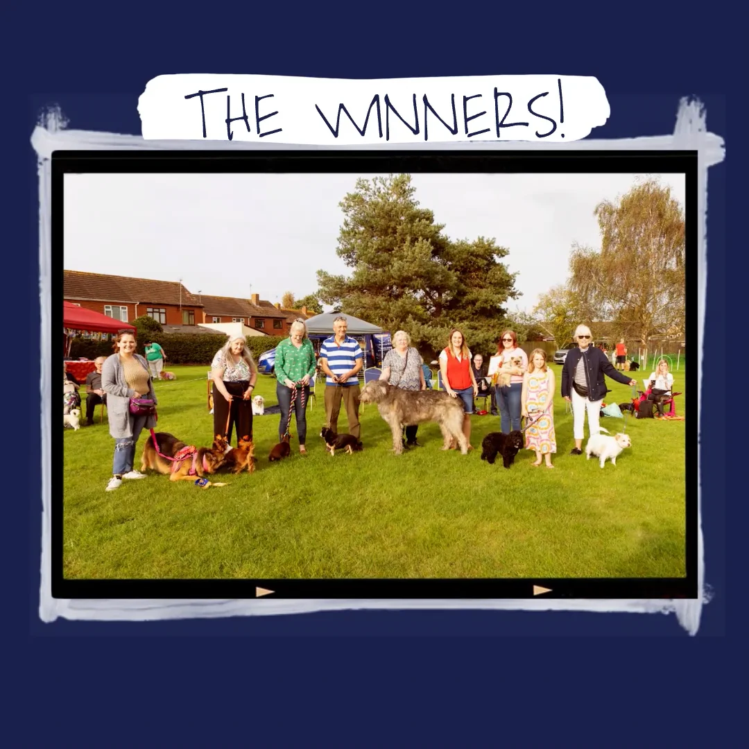 Great Oaks Dog Show 2023 The Winners on Vimeo