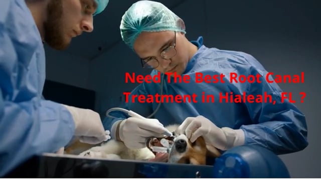 Miami Dental Group - Root Canal in Hialeah, FL